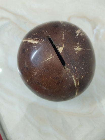 Coconut shell piggy bank premium quality and durable