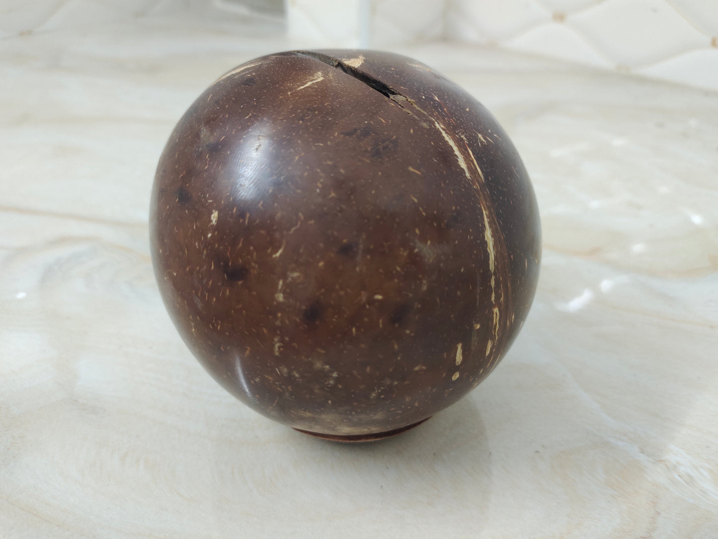 Coconut shell piggy bank premium quality and durable
