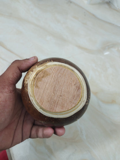 Coconut shell piggy bank premium quality and durable