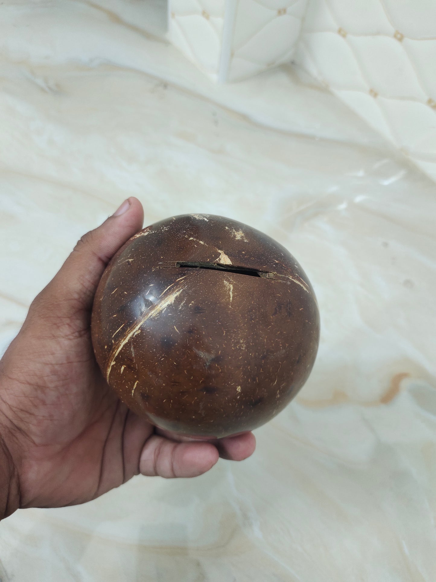 Coconut shell piggy bank premium quality and durable