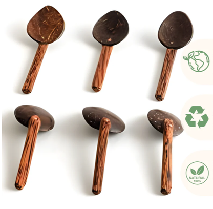 Coconut Shell Masala Spoons for Spices, Tea, Coffee, Desserts - (Set of 6)