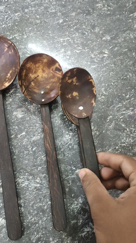 Palm handle coconut shell spoon set of 4 full hand polish